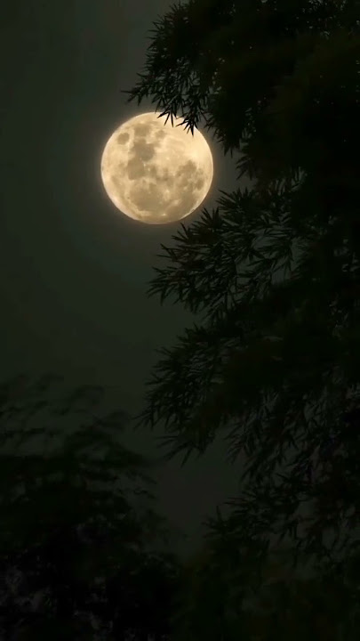 humnava mere 💭 😞.#humnavamere #status #ytshort