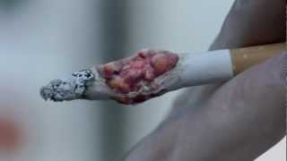 Every 15 cigarettes you smoke cause a mutation that can become cancer