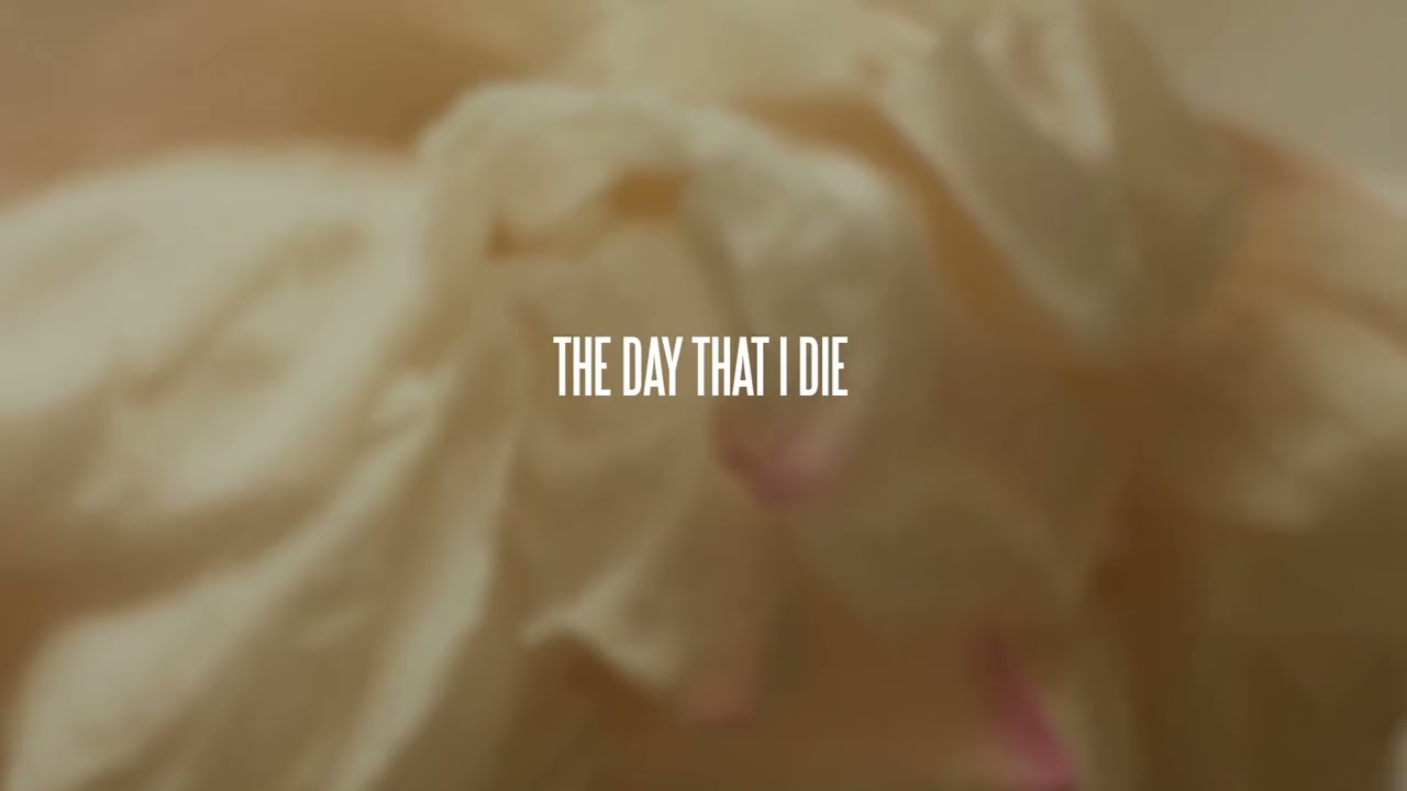 Lewis Capaldi – The Day That I Die (Official Visualizer)