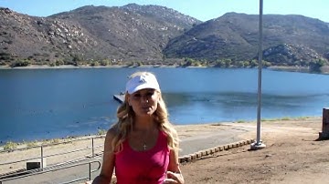 How Pinnacle Global Network Transformed My Business