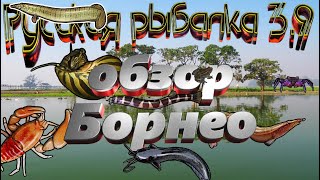 Русская рыбалка 3.99  🎣Обзор Борнео 🐟