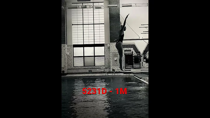 5231D - 1 Meter - Diving/RIPFEST