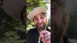 TERPY TIME TASTE BUDS !!!! - NEW DROP !!!! SMOKEN PROMISES - HEART THROB ❤️ #new #fyp #cannabis
