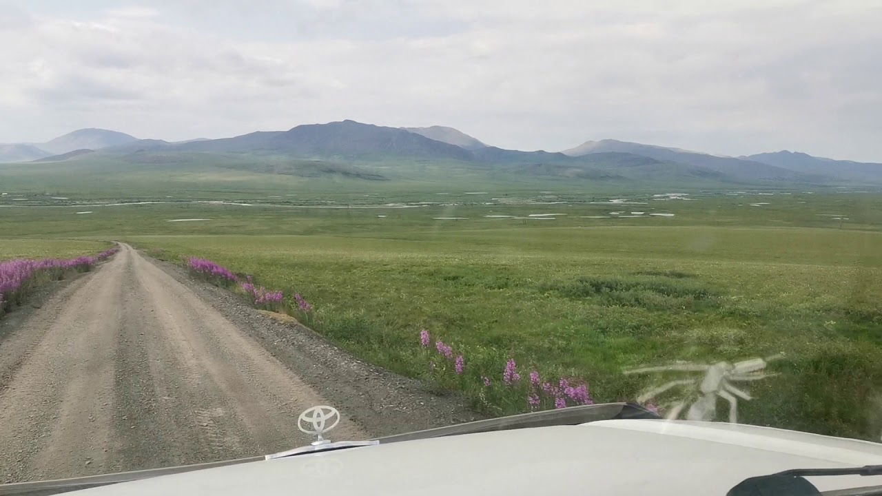 Автомобильный регион чукотка