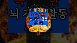 치매예방에 꼭필요한 뇌자극활동 5가지