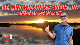 Anastasia State Park - 4 Miles of Pristine Beach, Ancient Dunes and Wildlife in St. Augustine, FL