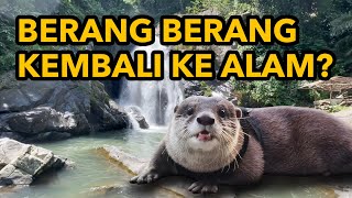 BERANG BERANG KEMBALI KE ALAM?