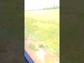 Вид свободы😍 #life #travel #shortvideo #nature