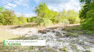 Get your slice of paradise in central Florida