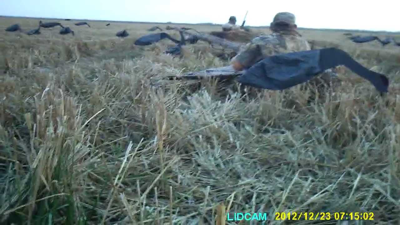 Crane Hunting 12/23/12 YouTube