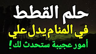 تفسير حلم رؤية القطط في المنام،القطط في المنام تدل علي أمور عجيبة ستحدث لك تعرف عليها!!