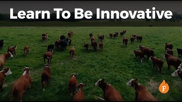 Learn To Be Innovative: Creating Breakthroughs in Your Organization