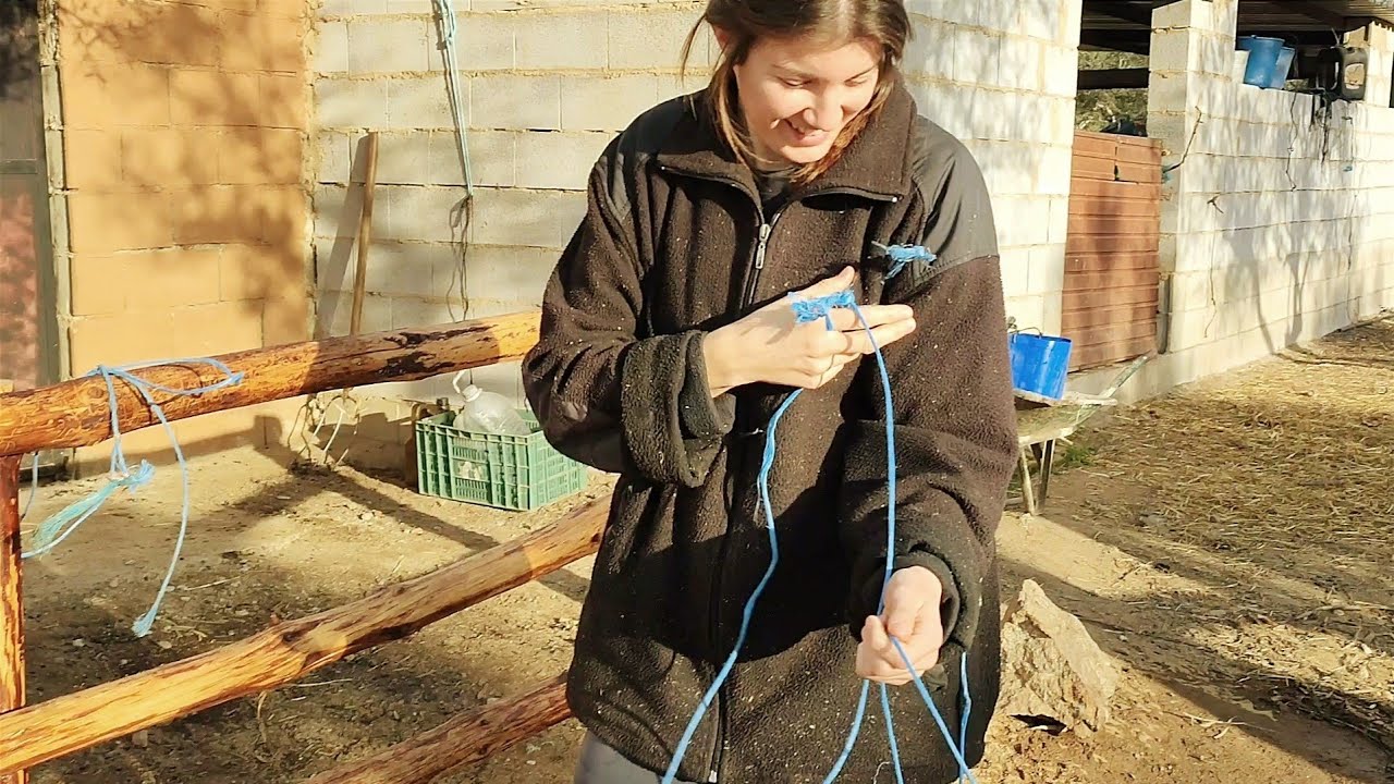 Vamos a amueblar el gallinero y soltar a los gallos a ver qué pasa