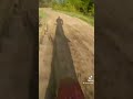 мототень мото эндуро мотокросс сносколес bike rider enduro moto snoskoles