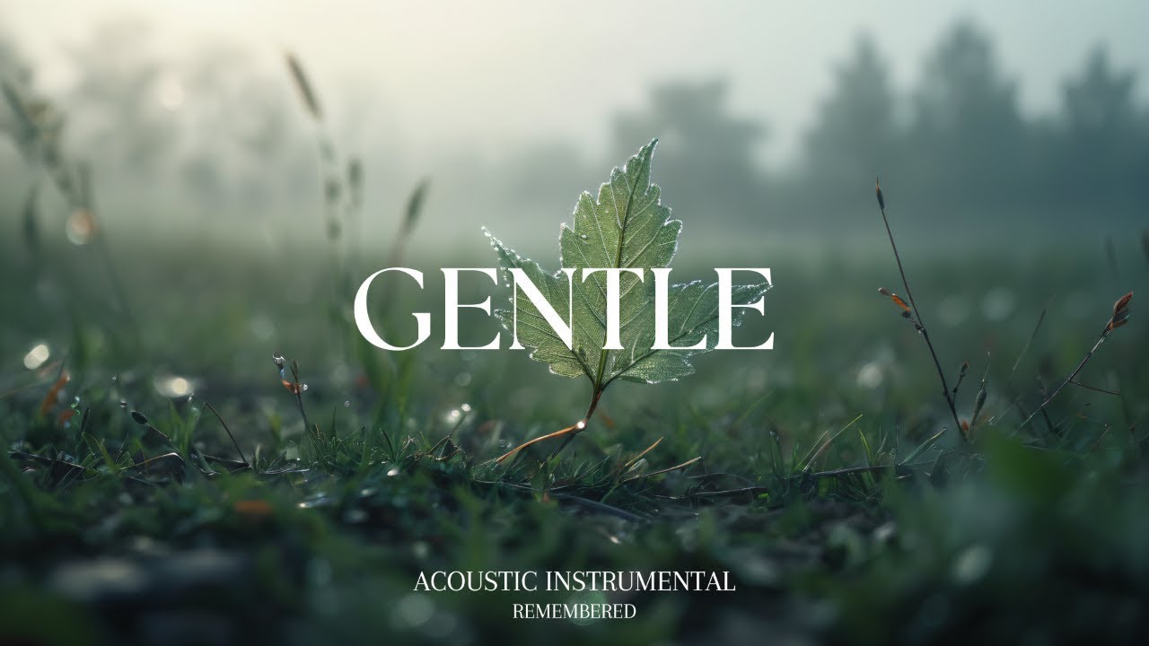 Unplug and Unwind: A 1 Hour Acoustic Chill Playlist for Relaxation