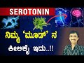          serotonin in kannada