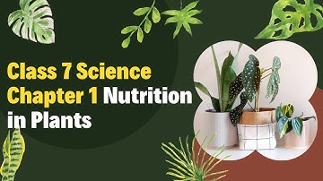 Class 7th Science Chapter 1: पादपों में पोषण || Hindi Medium