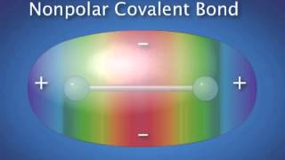Chapter 2   Covalent Bonds