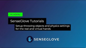 Setting up throwing objects and physics settings for the real and virtual hands (SGBasicDemo)