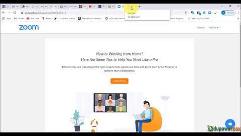 Lesson 2 HTML document structure