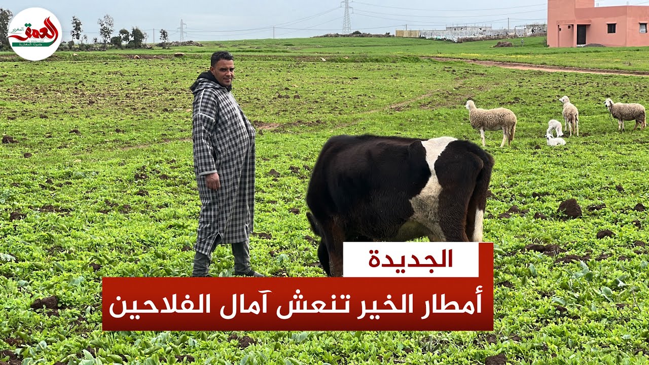 بعد 8 سنوات من 