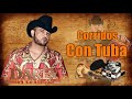 Dareyes de La Sierra - Corridos Con Tuba Y Acordeon Mix 2021