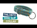 HOW TO MAKE A TRILOBITE DOG SLIP COLLAR