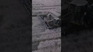 Where Innovation Becomes Routine #nexatcanola