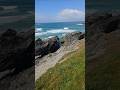 Newquay beach fishing