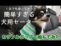 【かぎ針犬用セーター】サイズ調整OK とじはぎ無し１玉 こま編みだけで犬用セーターを編んでみました
