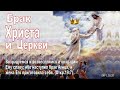 Брак Христа и Церкви 1.03.2020 Родославов Е.К.