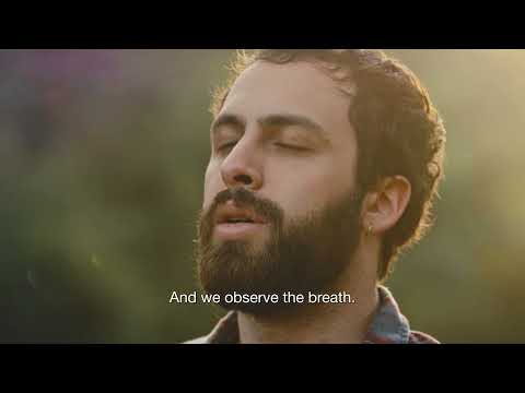 In 7 Minutes You Ll Understand Meditation Better Than 99 Of The Planet Guaranteed 