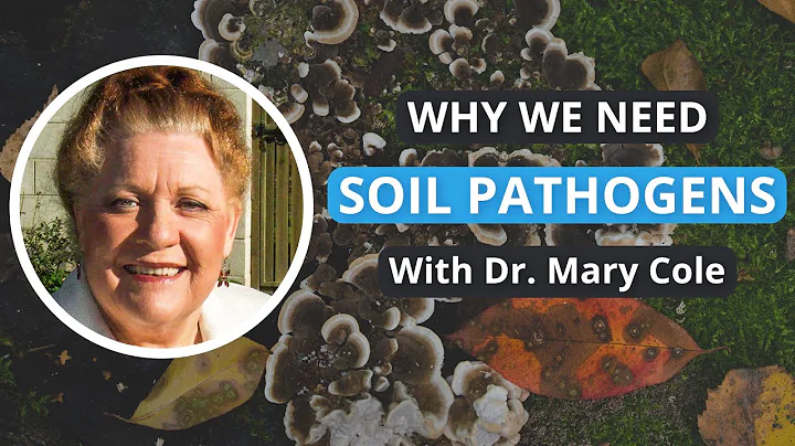 Pathogenic Fungi & Plant Pathogens | Dr Mary Cole ...