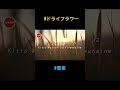 【ドライフラワー】優里