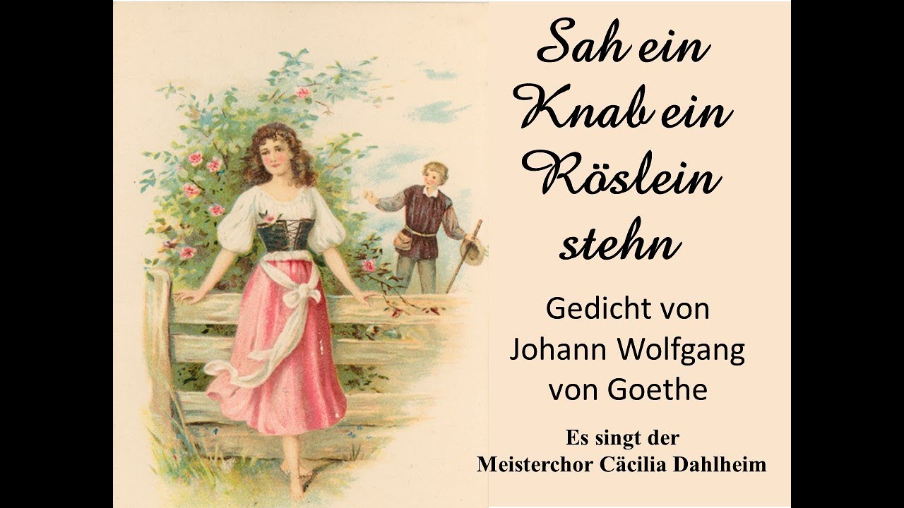 Sah Ein Knab Ein Röslein Stehn Text Bedeutung