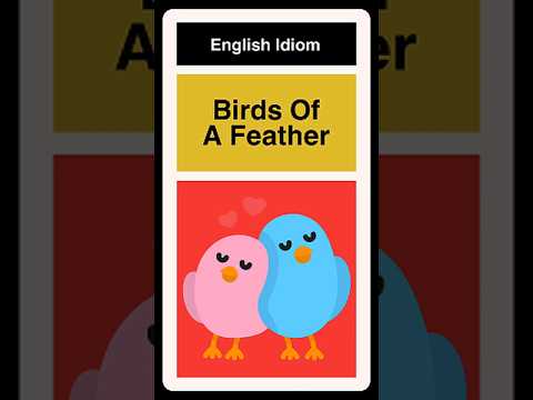 Birds of a