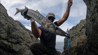 *Shore Jigging in Italia* Un bel barracuda totalmente inaspettato...😃