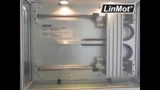 LinMot Gantry