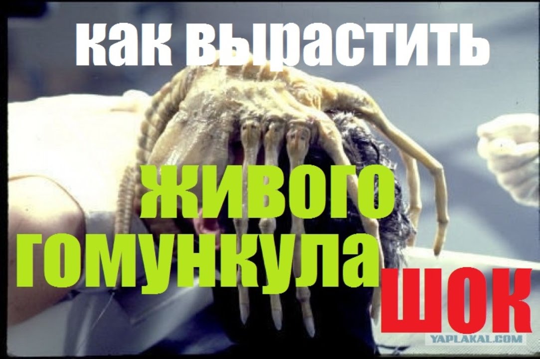 Гомункул как выглядит в реальной Как сделать гомункула самому в домашних условиях (Homunculus) - YouTube
