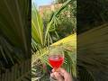 Survival Skills: SMART ideas and Useful in forest (Part 6) #survival #useful #ideas #smart #shorts