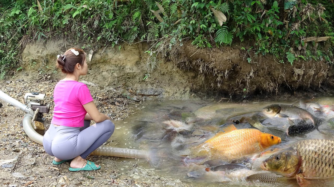 Survival Skills | Amazing Fishing, Harvesting Many Big Fish In The Lake ...