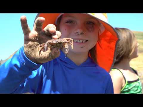 Terra Marin Camps for Kids | ActivityHero