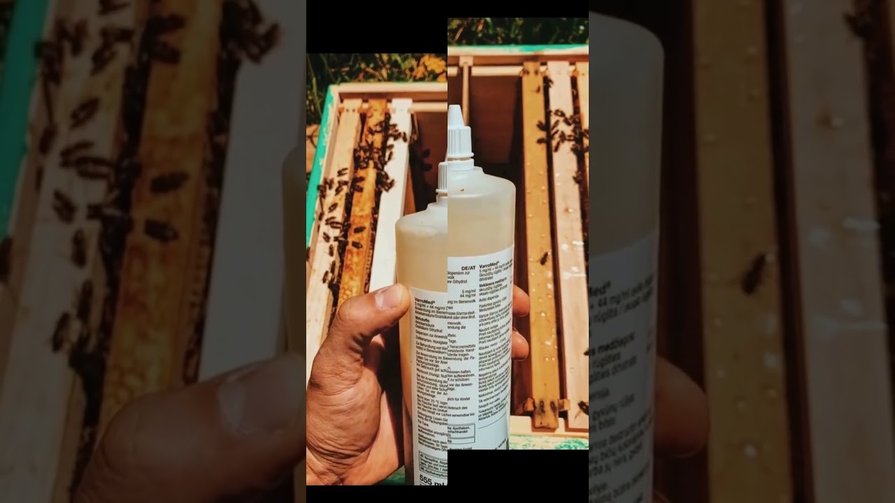 VARROMED - Teasing Produits-veto - Traitement du Varroa Destructor