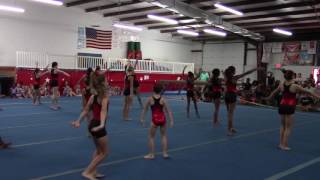 Top Notch Gymnastics Recital 2017