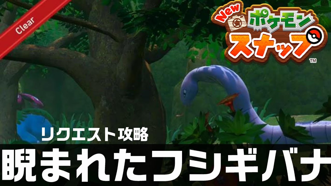睨まれたフシギバナ Newポケモンスナップ リクエスト攻略 Youtube