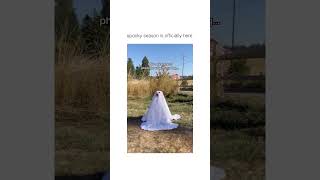 Spooky Tails And Wagging Whispers: Dog Ghost Photography Funny Moments!