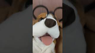 Warning: This SJW Meltdown Leads to Brainrot. #shorts #cringe #sjw #triggered #maha #usa