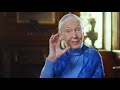 Jane Goodall: Living a Life of Purpose | 2021 Templeton Prize