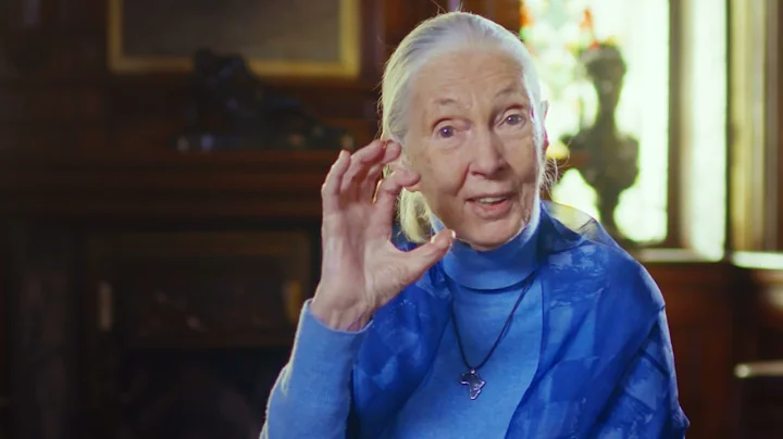 Jane Goodall: Living a Life of Purpose | 2021 Temp...