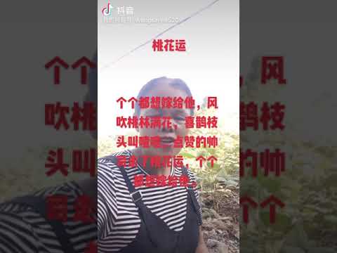 桃花运 抖音 王三姐版 Youtube
